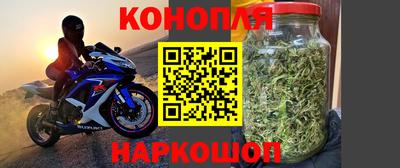 гашик Жуковский