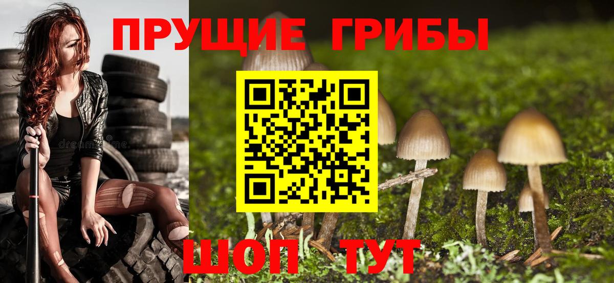 Галлюциногенные грибы MAGIC MUSHROOMS Лесной
