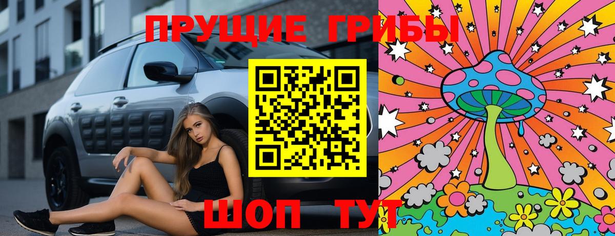 Лесной  Псилоцибиновые грибы Psilocybe  Вход с VPN  Псилоцибиновые грибы Psilocybine cubensis 